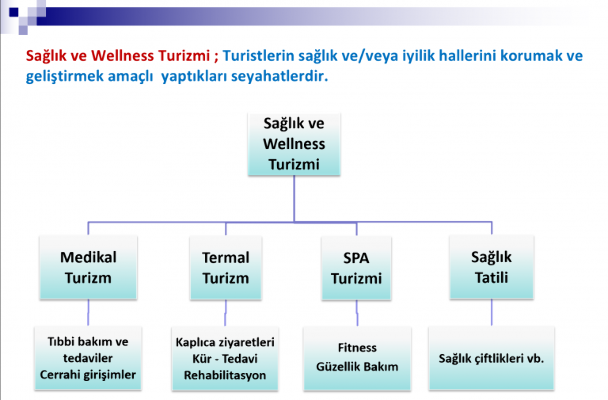 Termal Sağlık Turizmi ve Afyonkarahisar Termal Sağlık Turizmi ve Afyonkarahisar