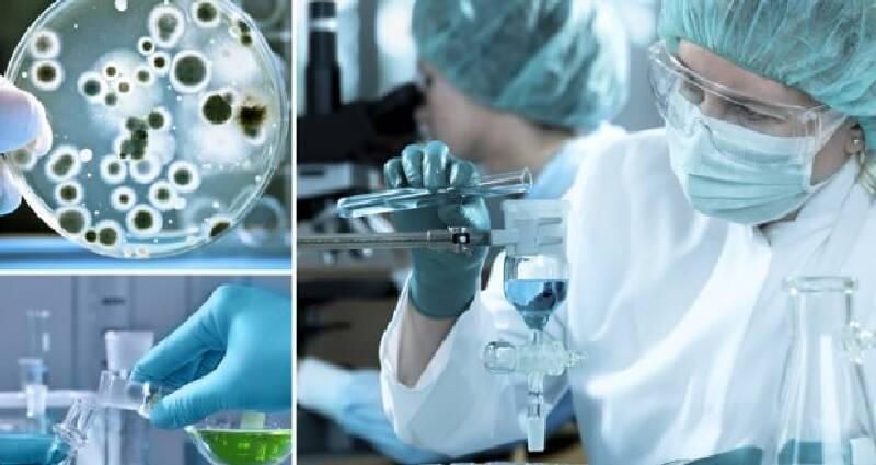 Bone Marrow Transplant Bone Marrow Transplant