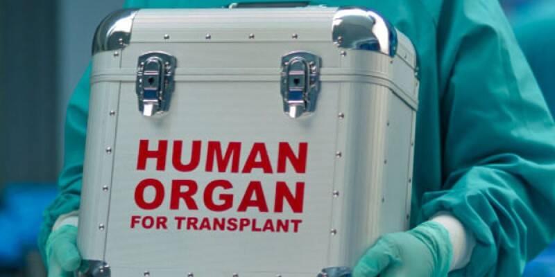 Organ Transplantation Organ Transplantation