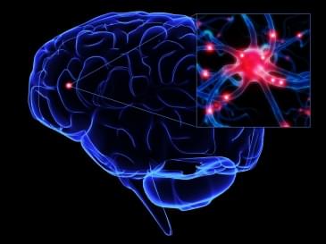 ALS (Amyotrofik Lateral Skleroz) Hastalığı Nedir ? ALS (Amyotrofik Lateral Skleroz) Hastalığı Nedir ?
