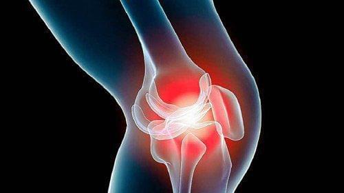 Kıkırdak Dokuda Oluşan Rahatsızlıklar Kıkırdak Dokuda Oluşan Rahatsızlıklar