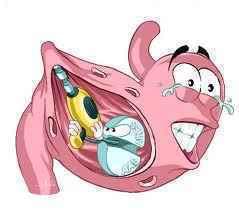 MİDEMİZDEKİ MİKROP; HELİCOBACTER PYLORİ (H.PYLORİ) MİDEMİZDEKİ MİKROP; HELİCOBACTER PYLORİ (H.PYLORİ)