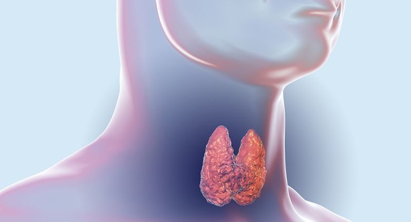 Hashimoto Tiroiditi nedir? Hashimoto Tiroiditi nedir?