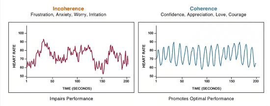 Dijital Check-Up (HRV)